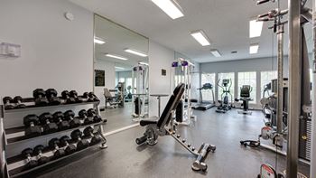 A gym with a variety of equipment including dumbbells, weight plates, and a squat rack.